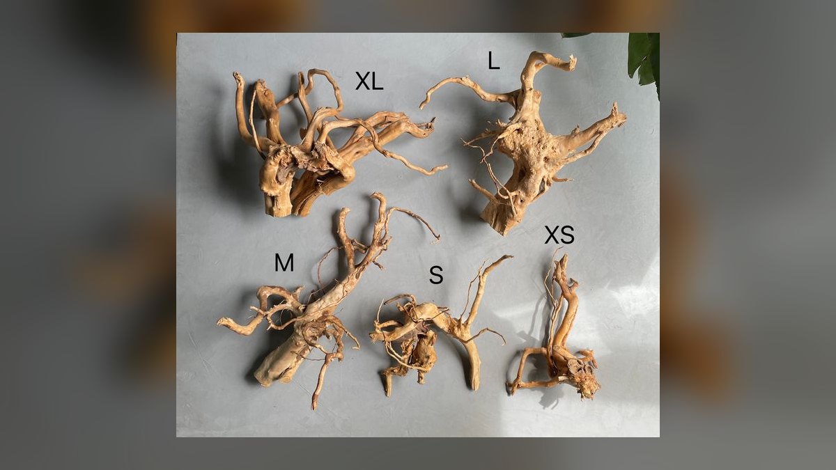 Top 10 Aquarium Driftwood Types for Aquascaping — figure 7