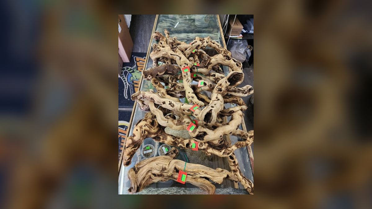 Top 10 Aquarium Driftwood Types for Aquascaping — figure 8