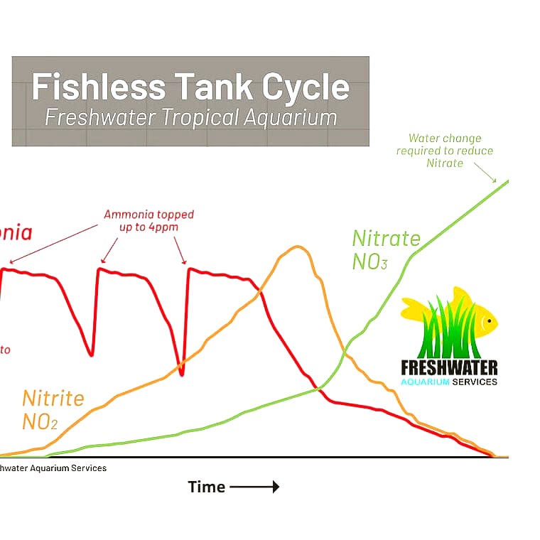 Why Fishless Cycling Matters in 2027