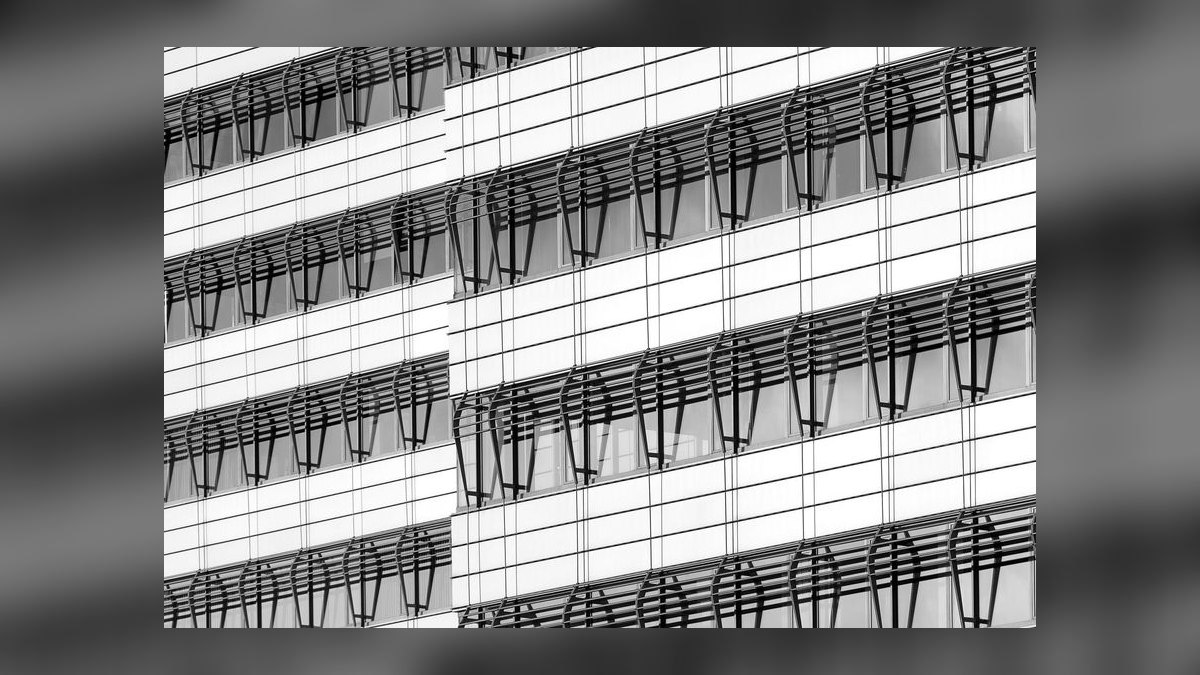 How do you treat velvet disease in aquarium fish — figure 9