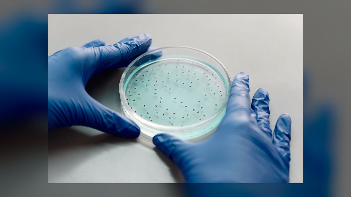 What is the best way to control cyanobacteria without using chemicals — figure 6