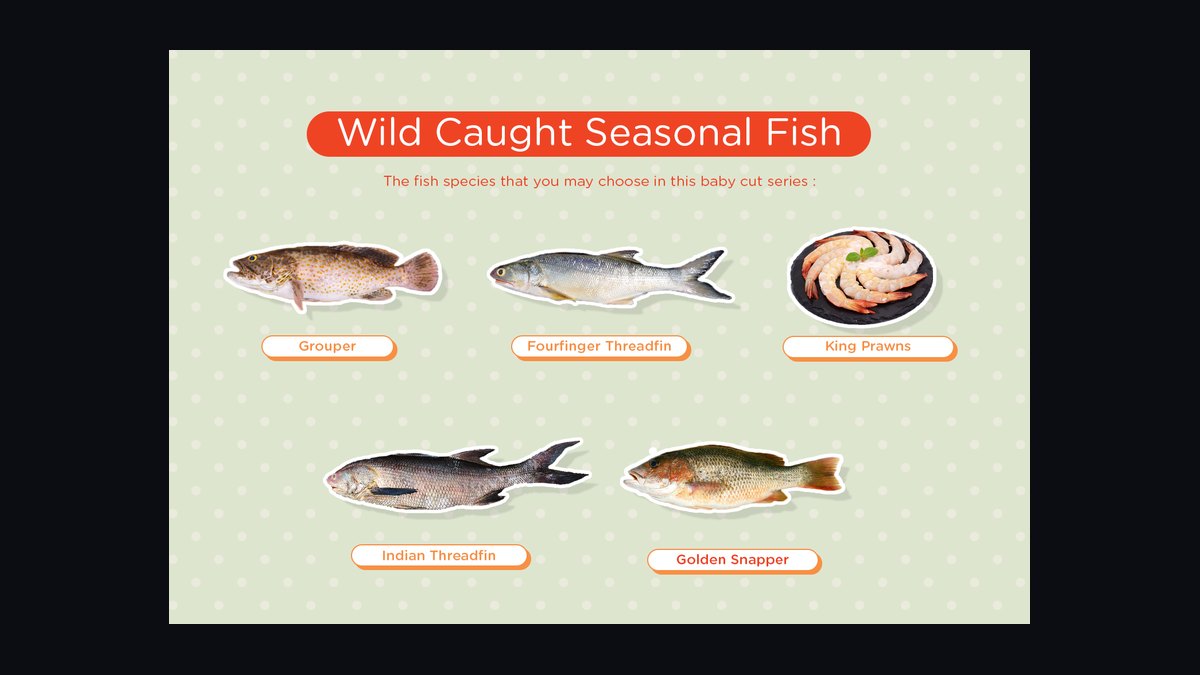 How do you safely introduce wild-caught fish into a home aquarium — figure 1