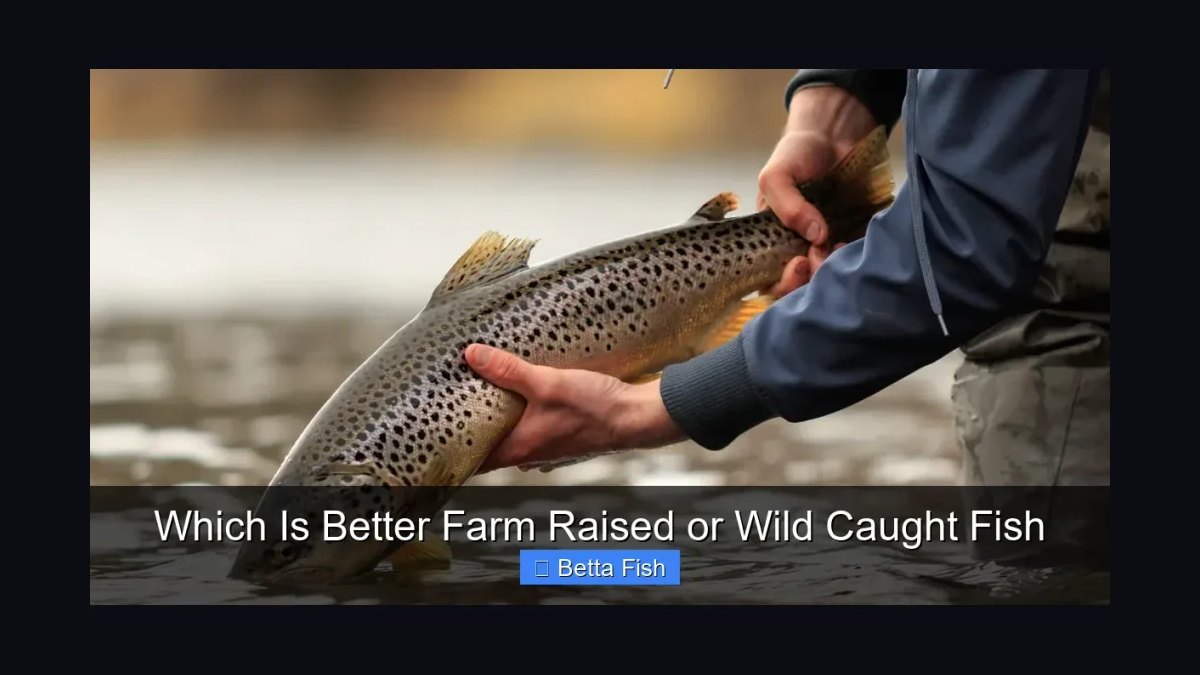 How do you safely introduce wild-caught fish into a home aquarium — figure 2