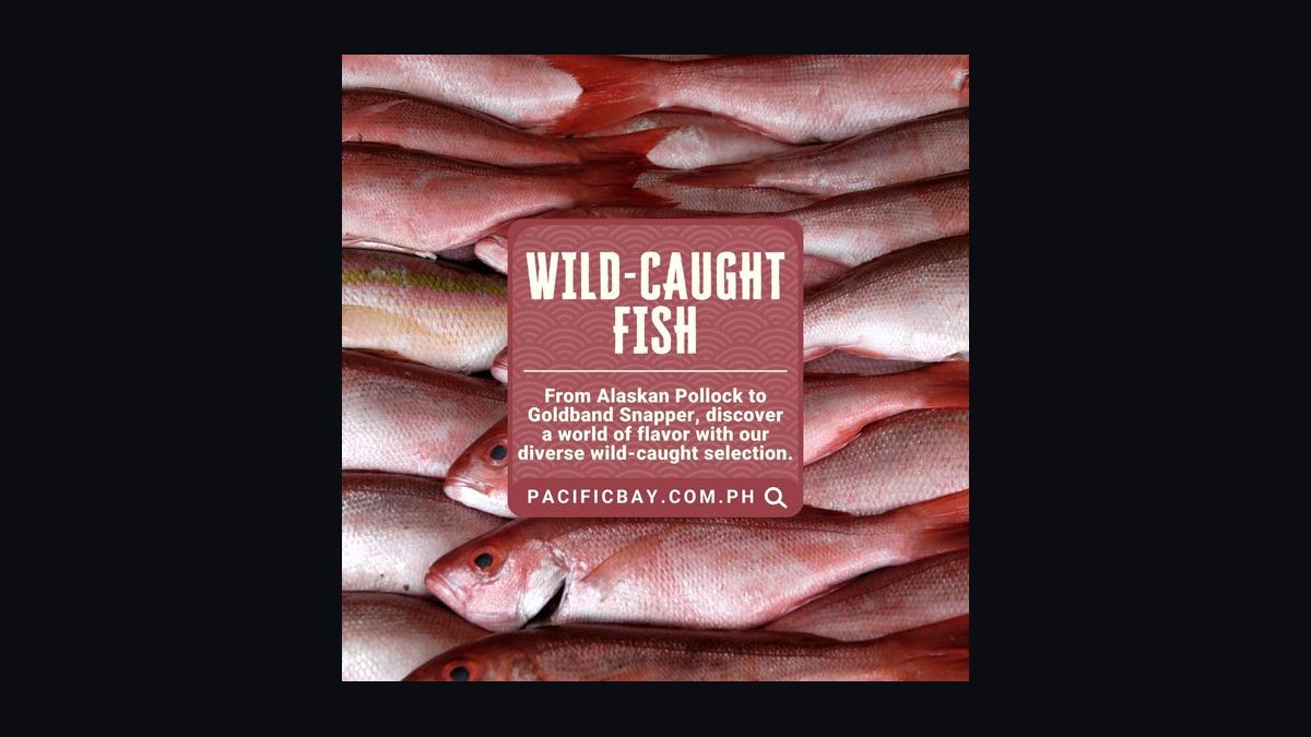 How do you safely introduce wild-caught fish into a home aquarium — figure 8