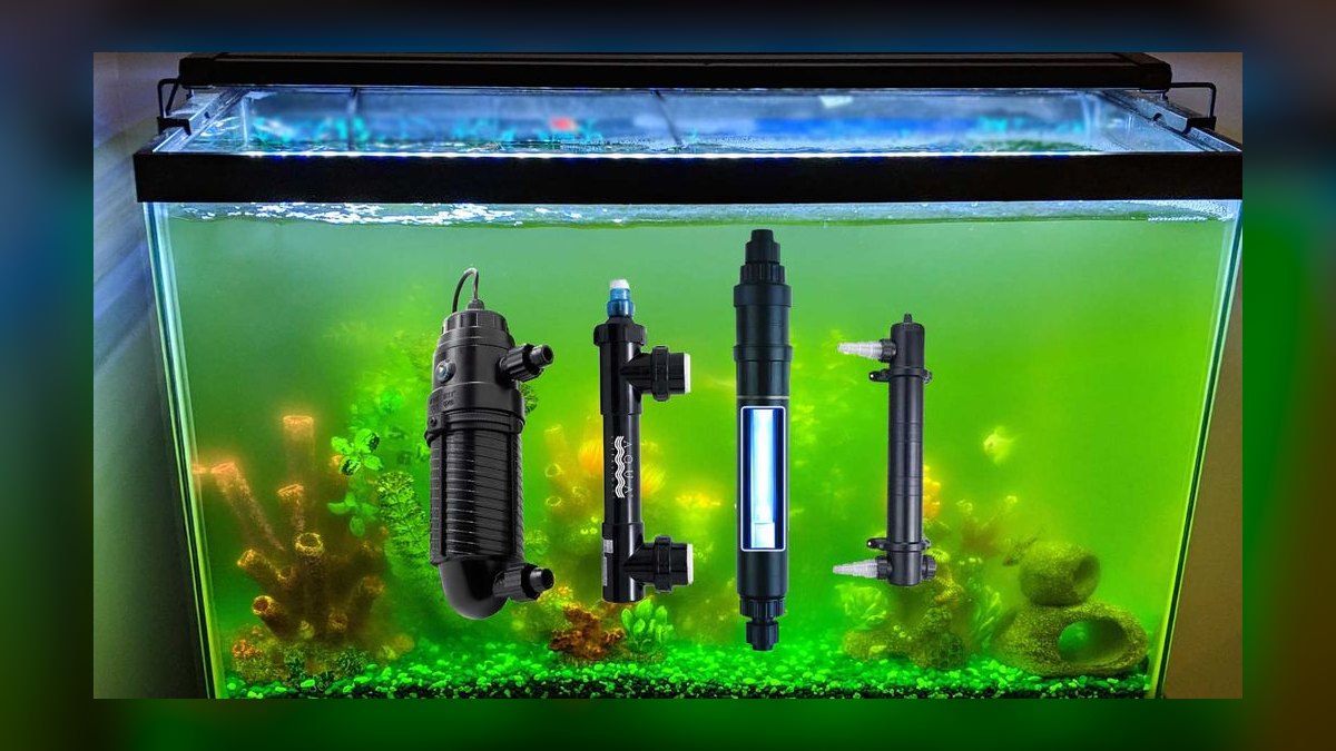 Best aquarium UV sterilizer for green water control in 2027