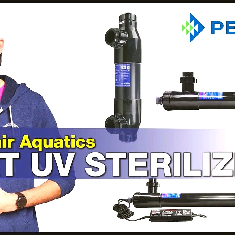 Pentair Aquatics UV Sterilizer 🥈 PREMIUM PICK