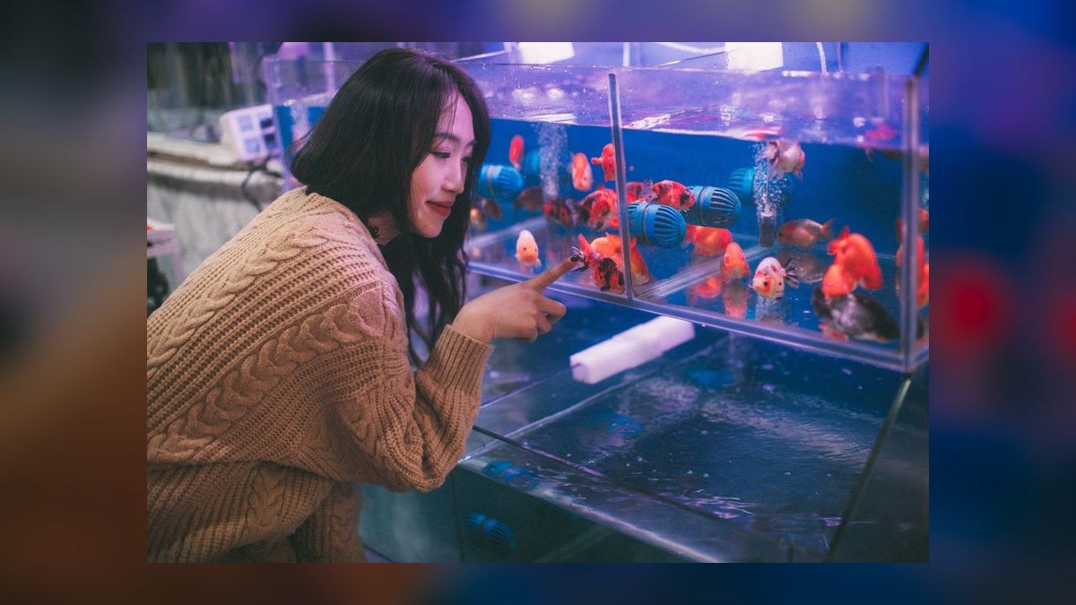 Top 10 Aquarium Sump Pumps 2027 — figure 4