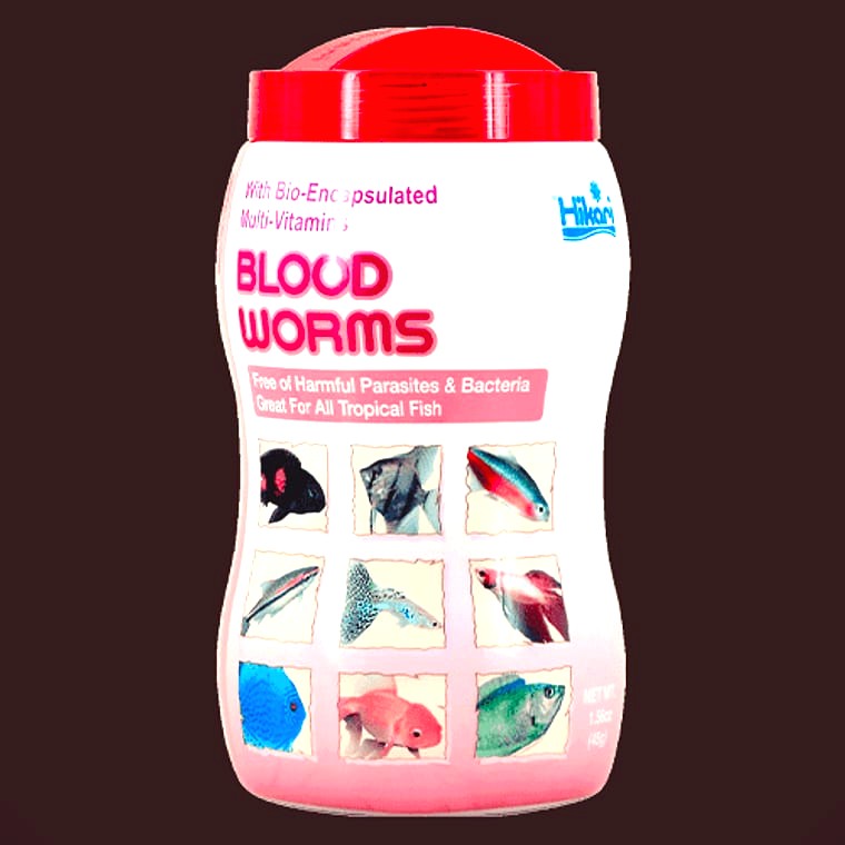 Hikari Blood Worms 🩸 BEST FREEZE-DRIED TREAT