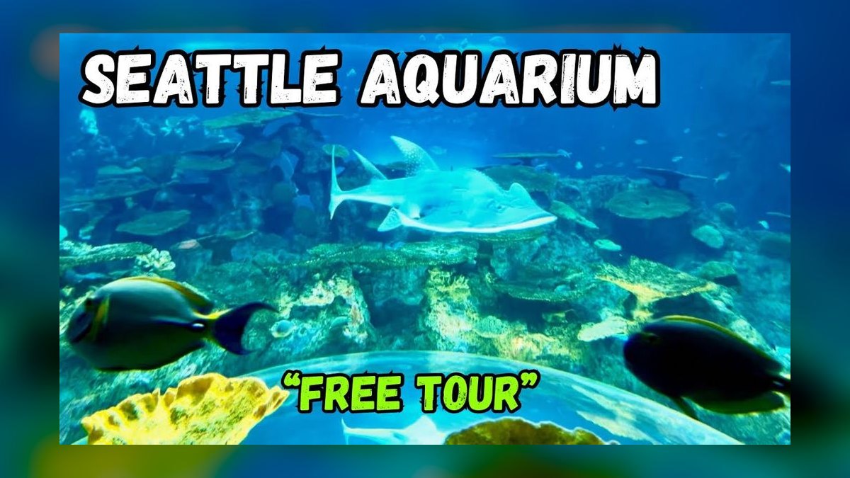 Top 10 Aquarium Fish Foods 2027