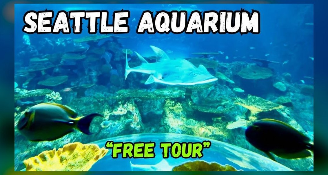 Top 10 Aquarium Fish Foods 2027
