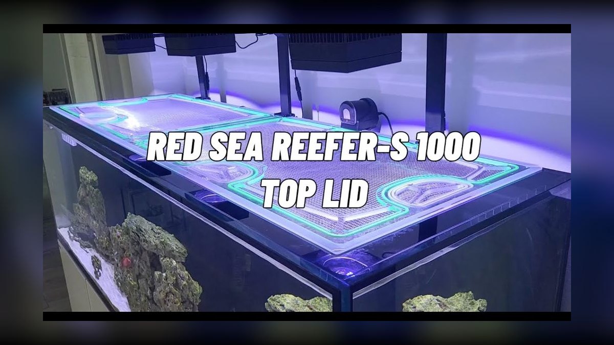 Top 10 Aquarium Lid Options 2027 — figure 2