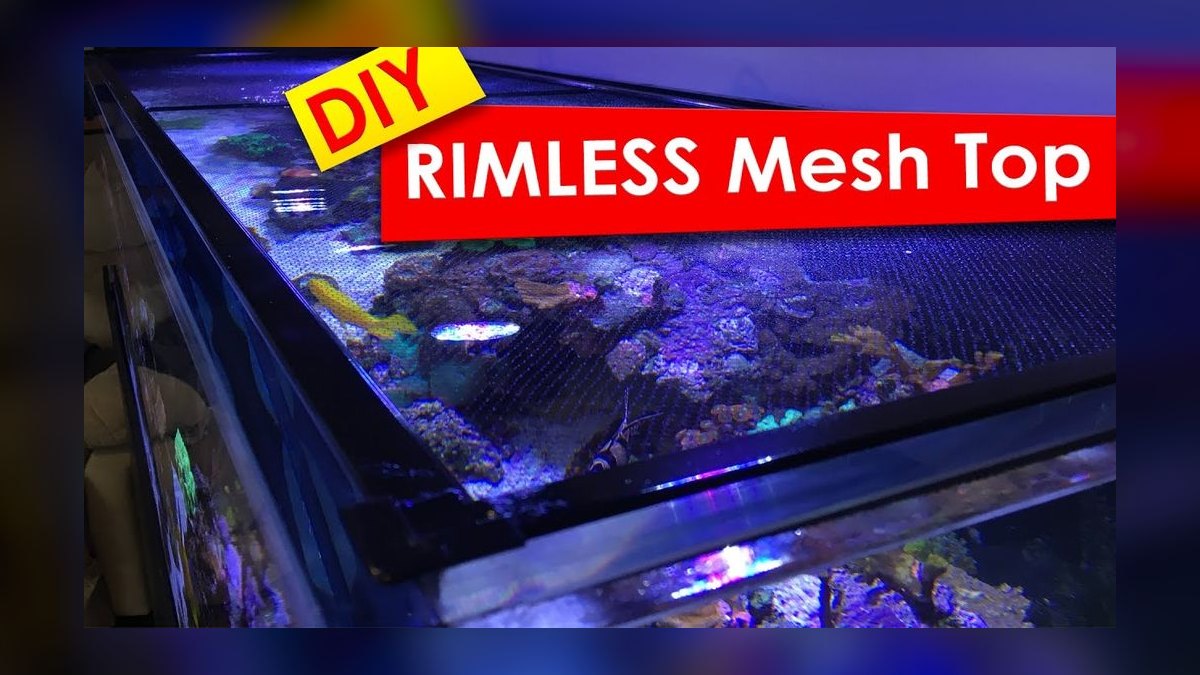 Top 10 Aquarium Lid Options 2027 — figure 4
