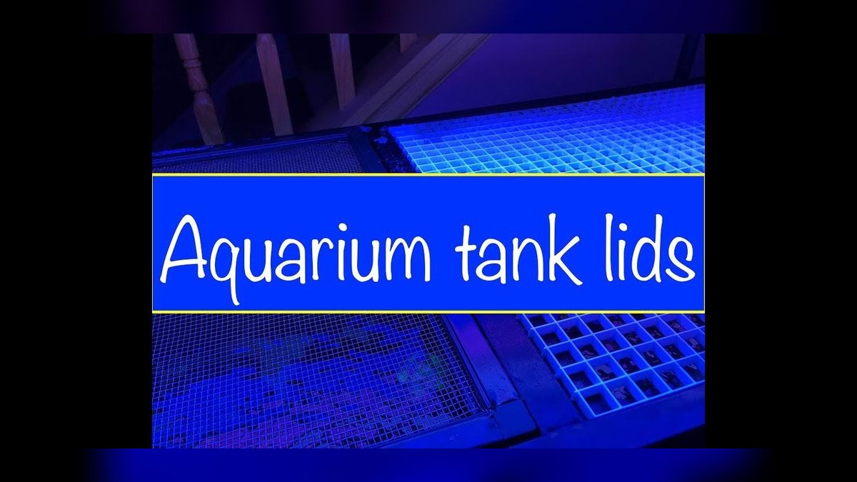 Top 10 Aquarium Lid Options 2027 — figure 8