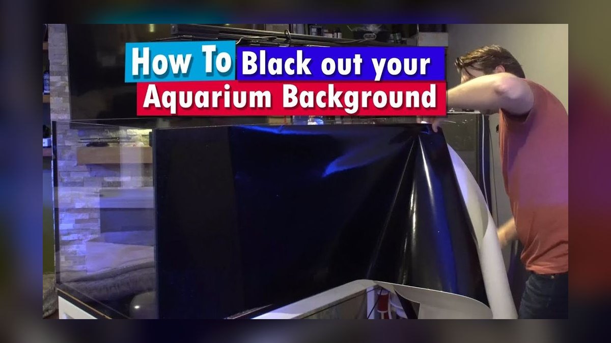 Top 10 Aquarium Backgrounds 2027 — figure 2