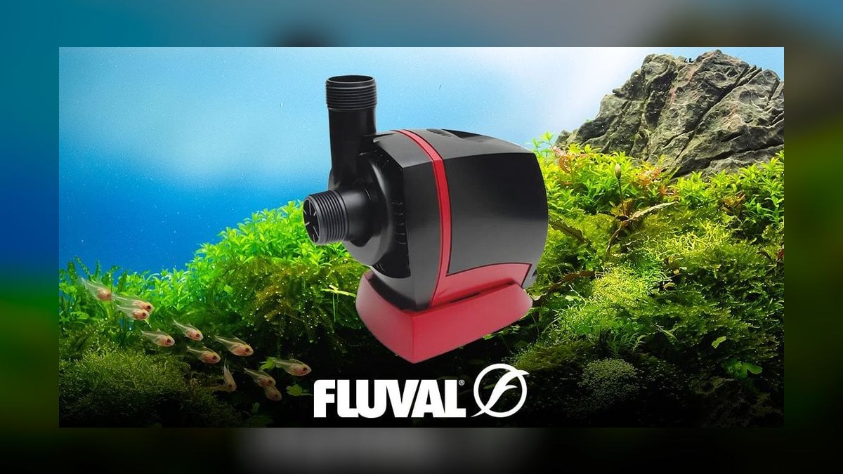 Top 10 Aquarium Plumbing Fittings 2027 — figure 2