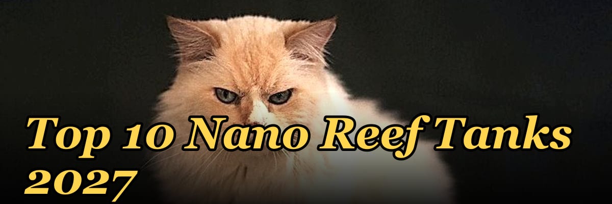 Top 10 Nano Reef Tanks 2027
