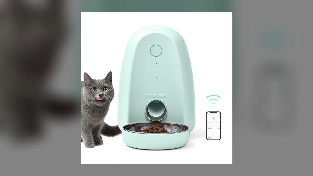 Best auto feeder for vacation in 2027 — figure 3