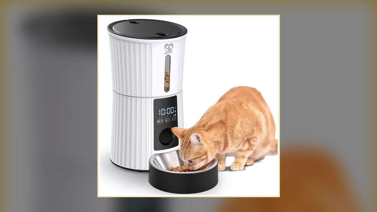 Best auto feeder for vacation in 2027 — figure 5