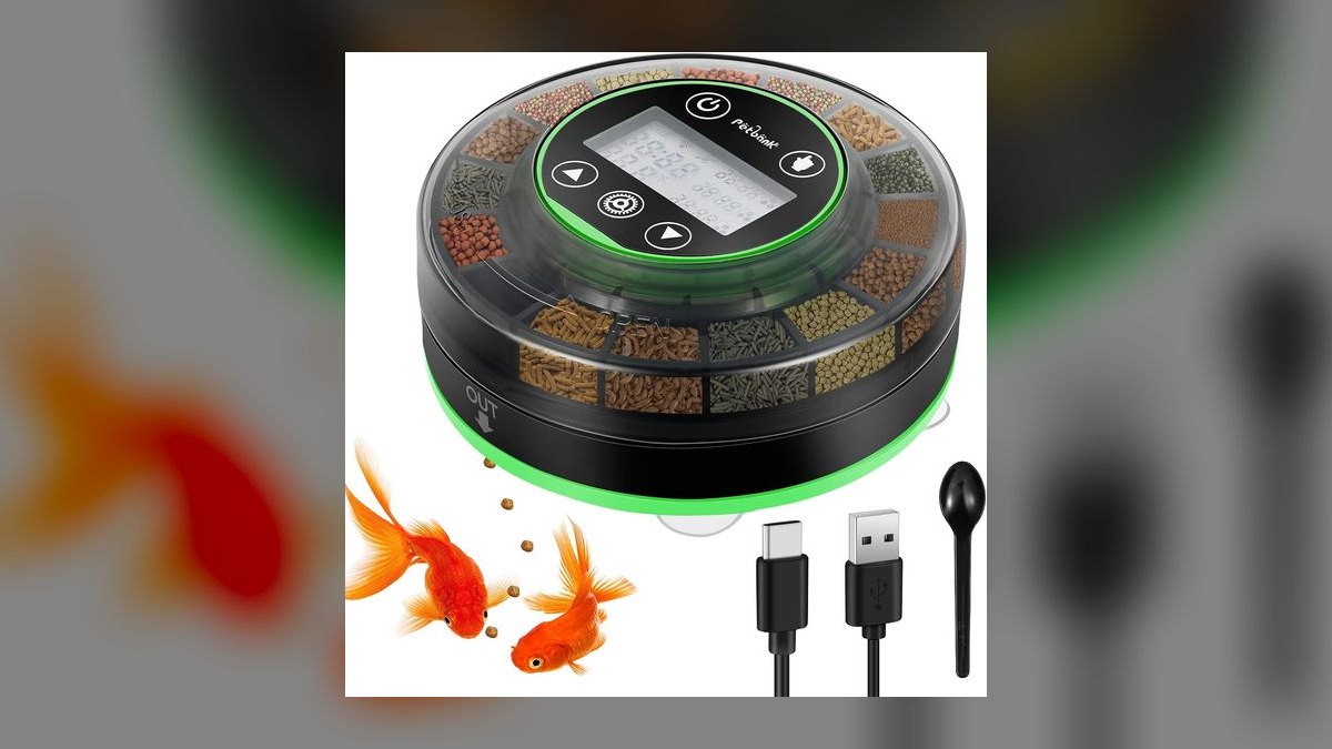 Best auto feeder for vacation in 2027 — figure 6