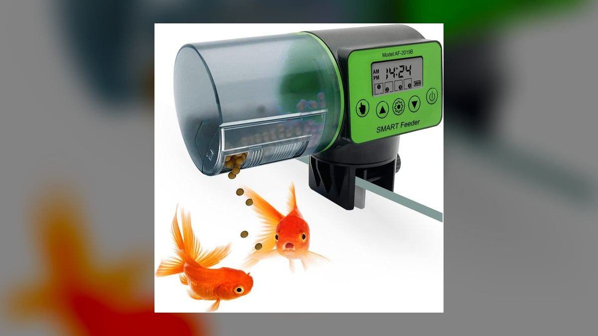 Best auto feeder for vacation in 2027