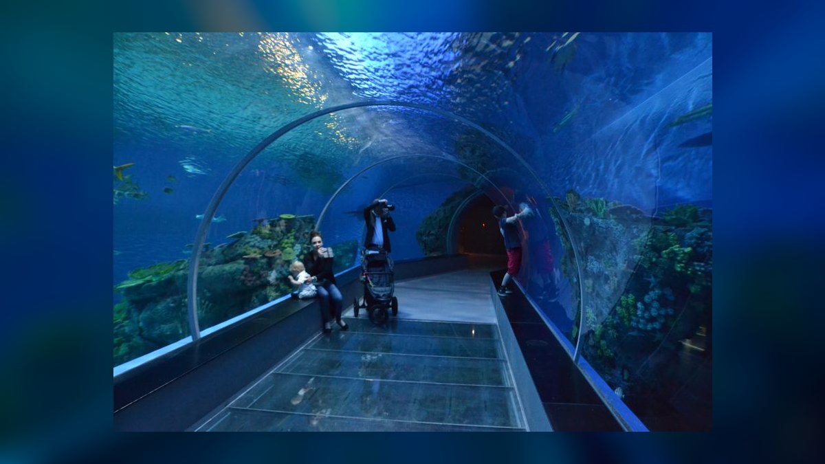 Is Aquariums worth it in 2027 — figure 1