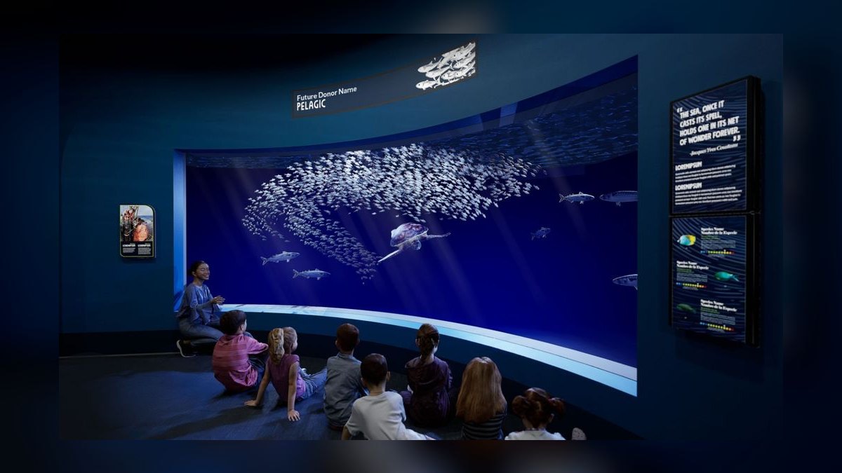 Top 10 Aquariums strategies for 2027