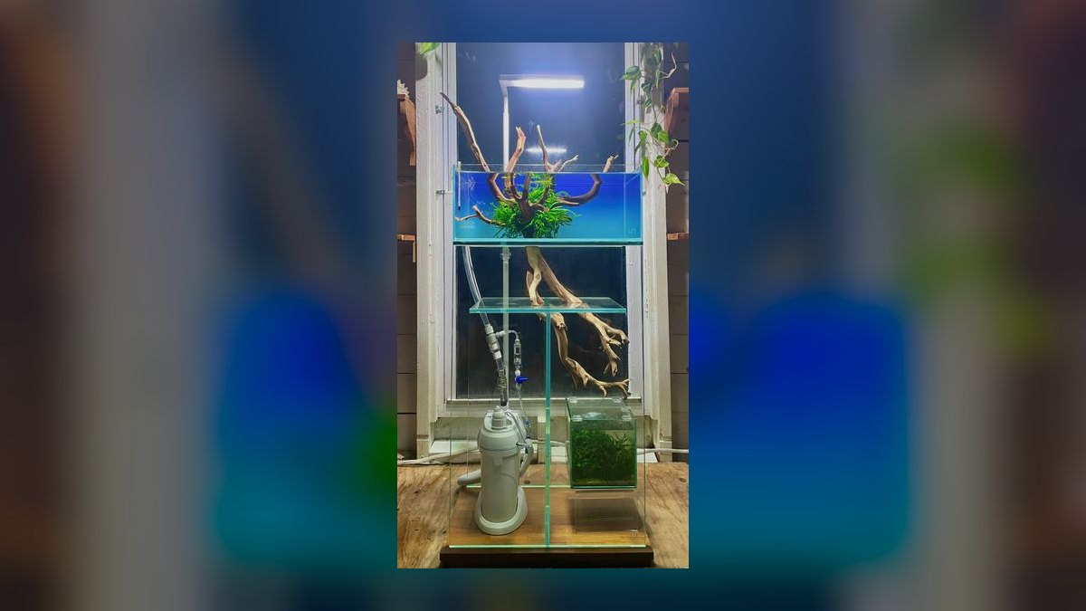 What is the best way to approach Aquariums in 2027 — figure 3