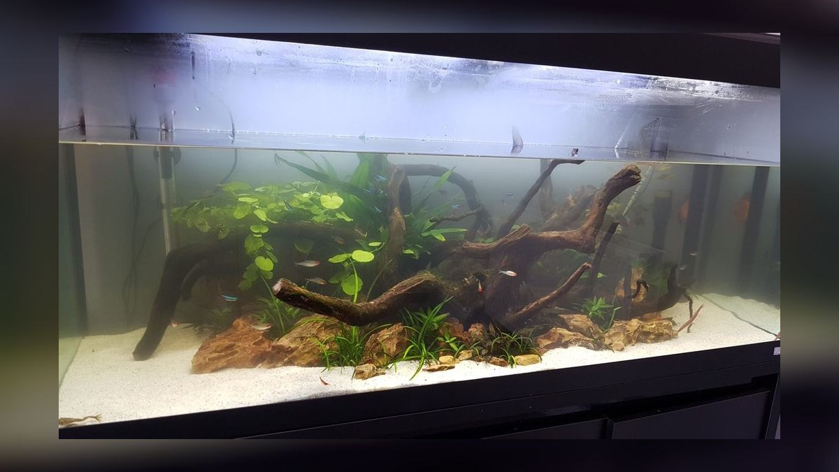 What is the best way to approach Aquariums in 2027 — figure 4