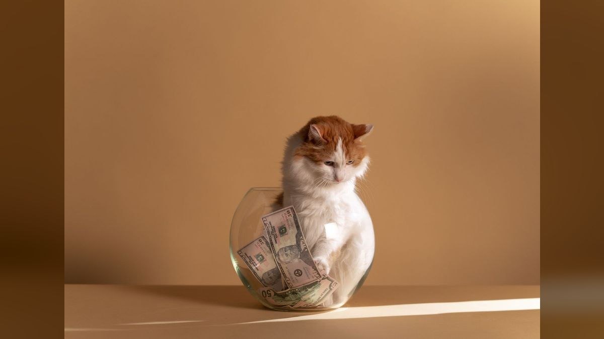 What should you know before investing in Aquariums in 2027?