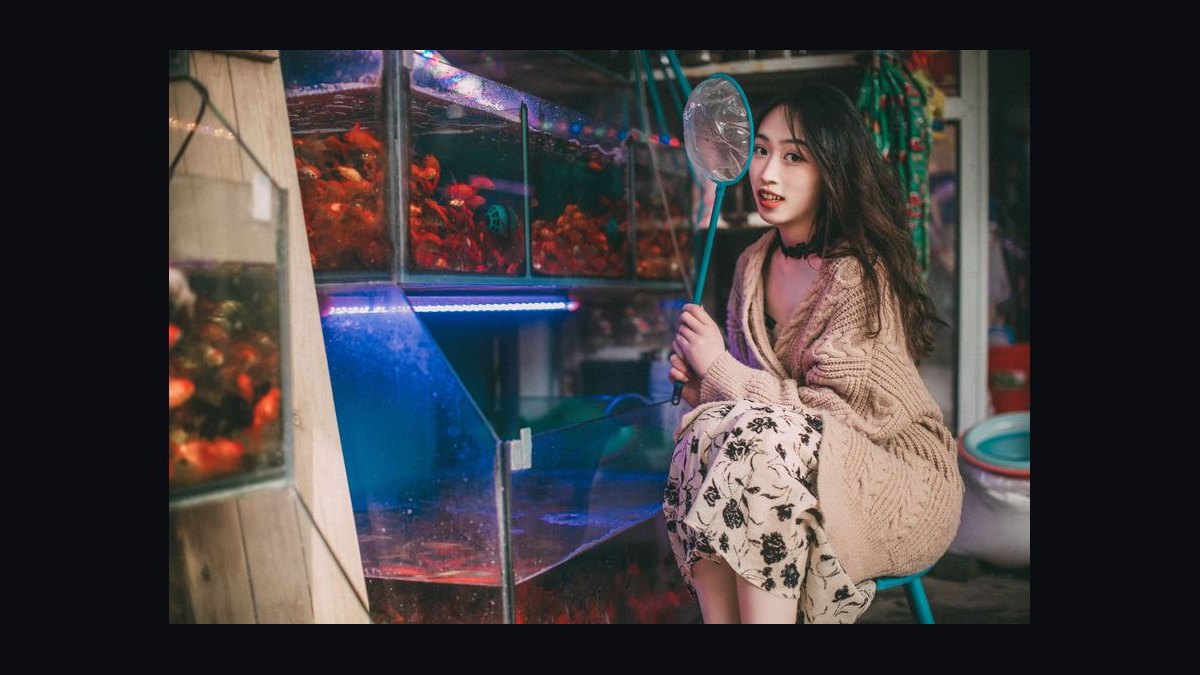 What should you know before investing in Aquariums in 2027?