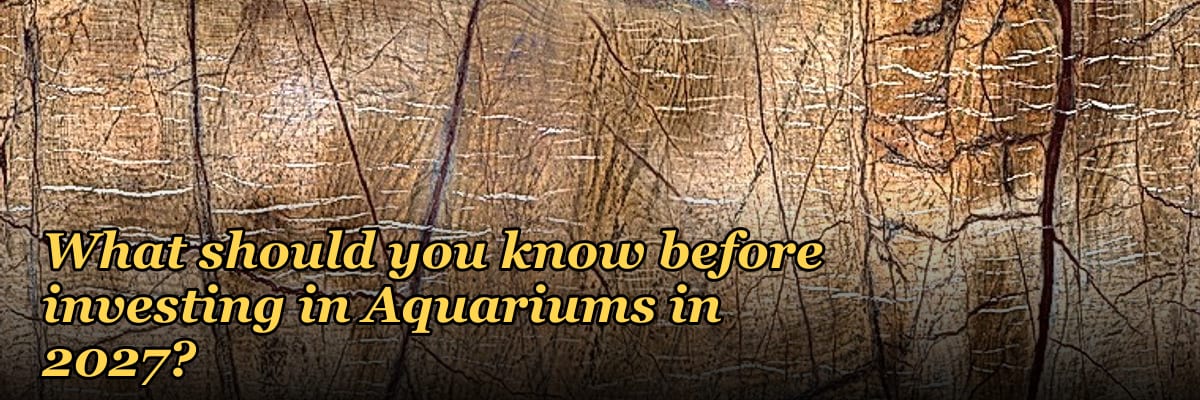 What should you know before investing in Aquariums in 2027?