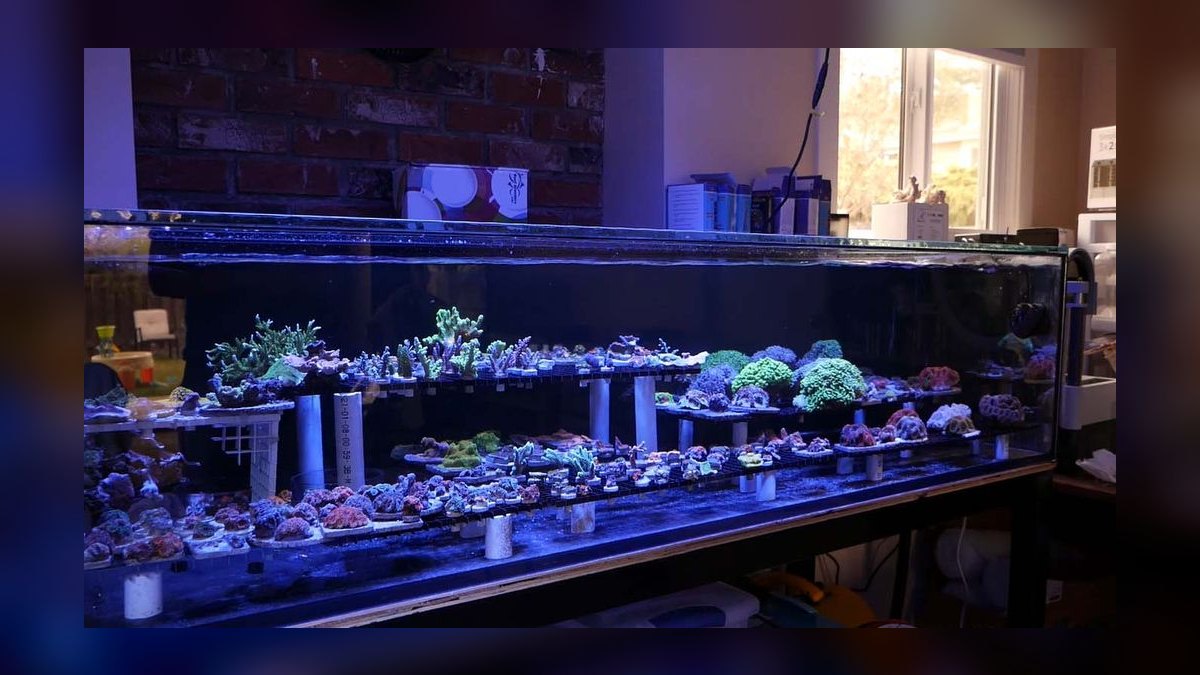 Top 10 best Aquariums options in 2027 — figure 10