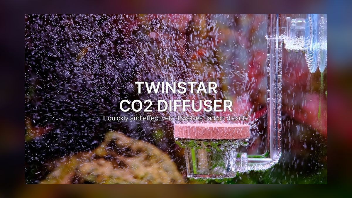 Top 10 Aquarium CO2 Diffusers for Fine Bubble Distribution in 2027 — figure 7