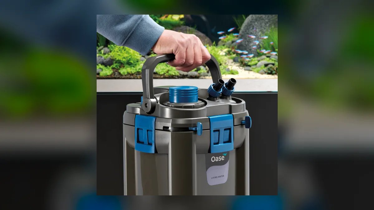 Top 10 Aquarium Canister Filters for Quiet Operation in 2027 — figure 6