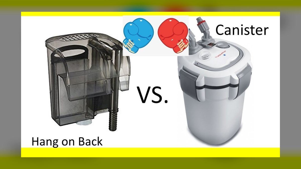 Top 10 Aquarium Canister Filters for Quiet Operation in 2027