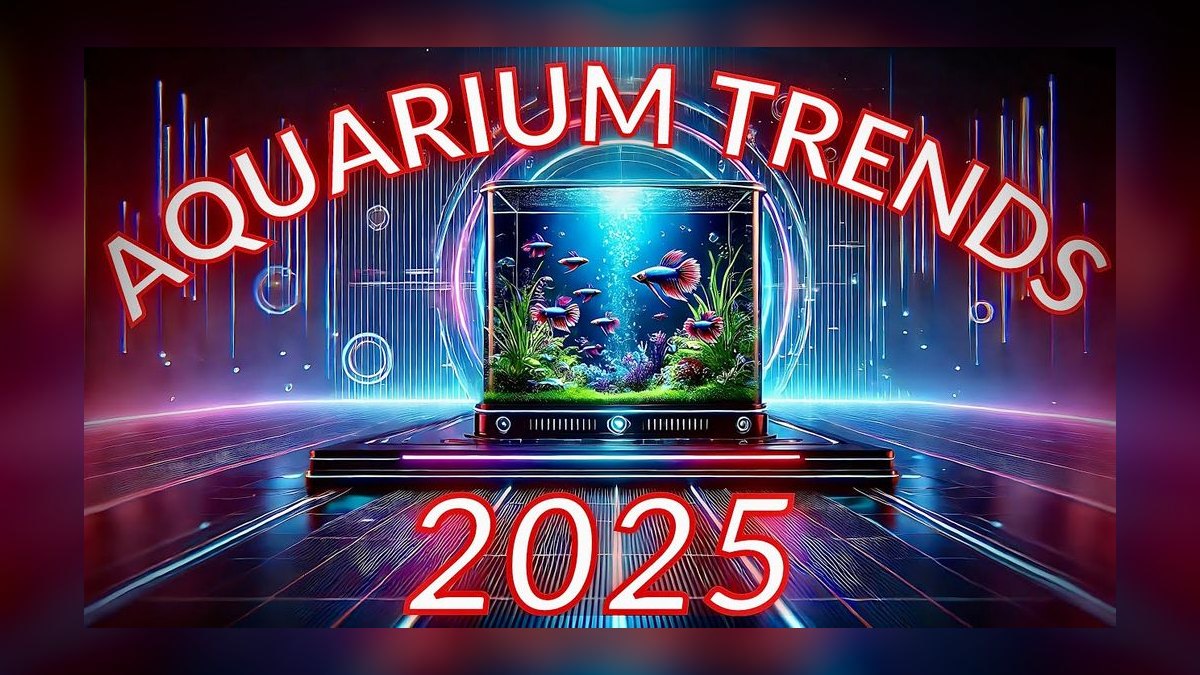 What new aquarium trends are emerging in 2027?