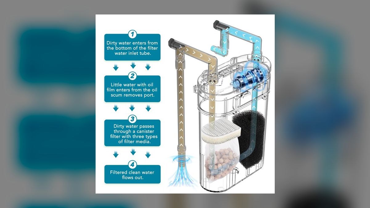 Canister filter vs. hang-on-back filter: which is better for a heavily planted 40-gallon aquarium in 2027?