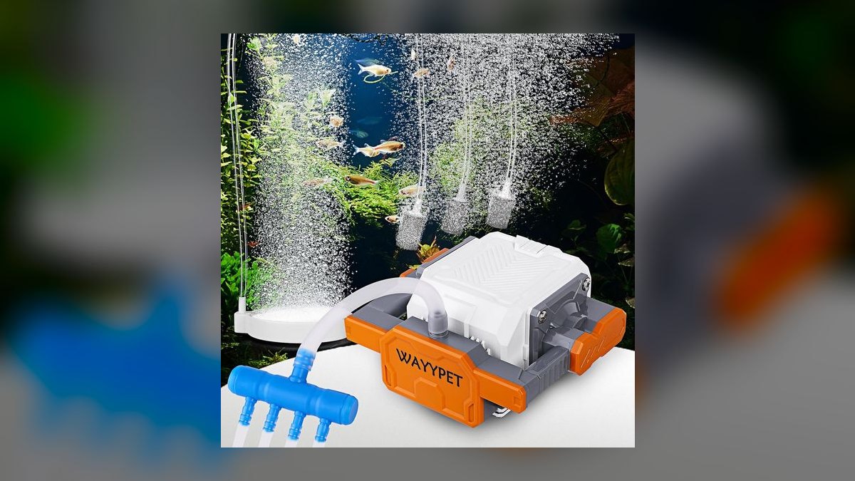 How do I set up an aquarium air pump for a sponge filter in 2027 — figure 1