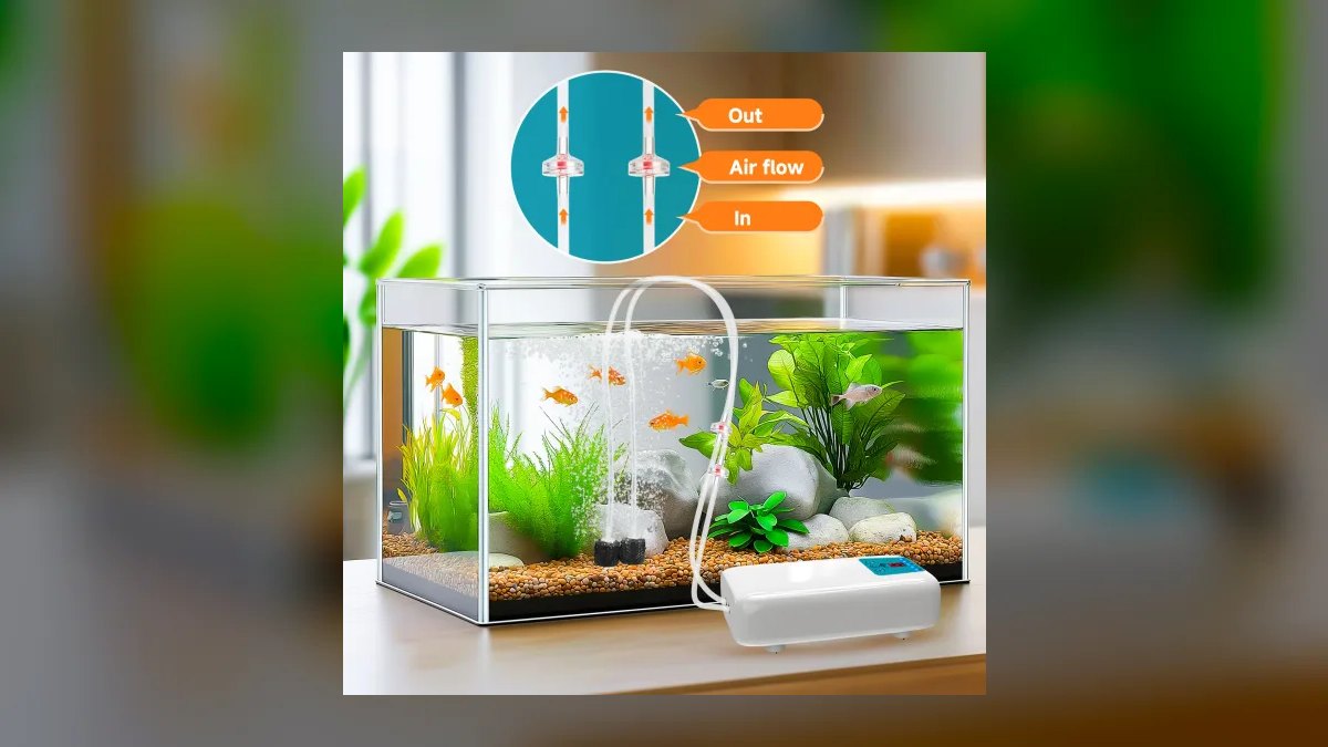 How do I set up an aquarium air pump for a sponge filter in 2027 — figure 3