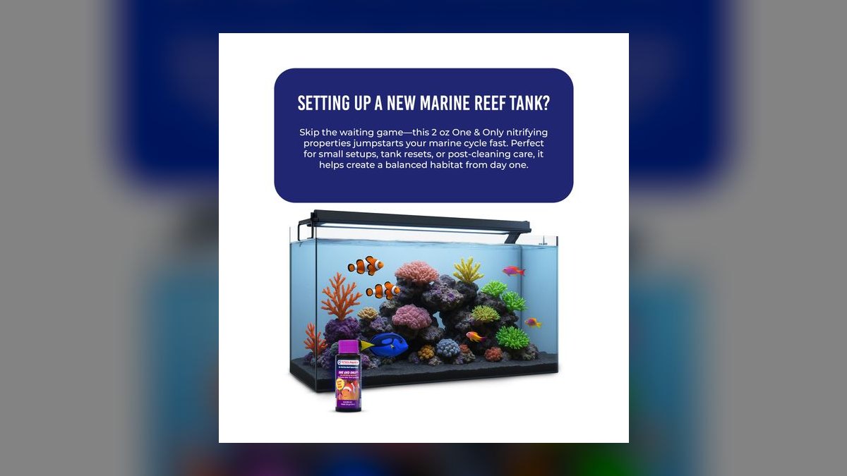 Top 10 reef tank cycling methods in 2027 — figure 1