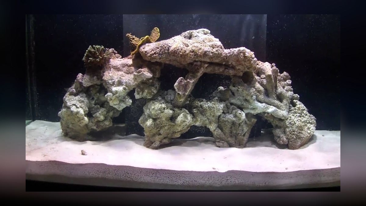 How do I aquascape live rock for a reef tank in 2027 — figure 8