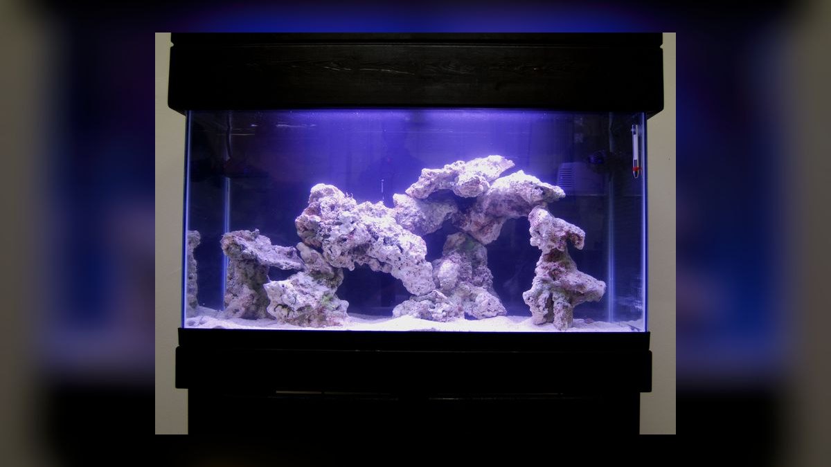 How do I aquascape live rock for a reef tank in 2027?