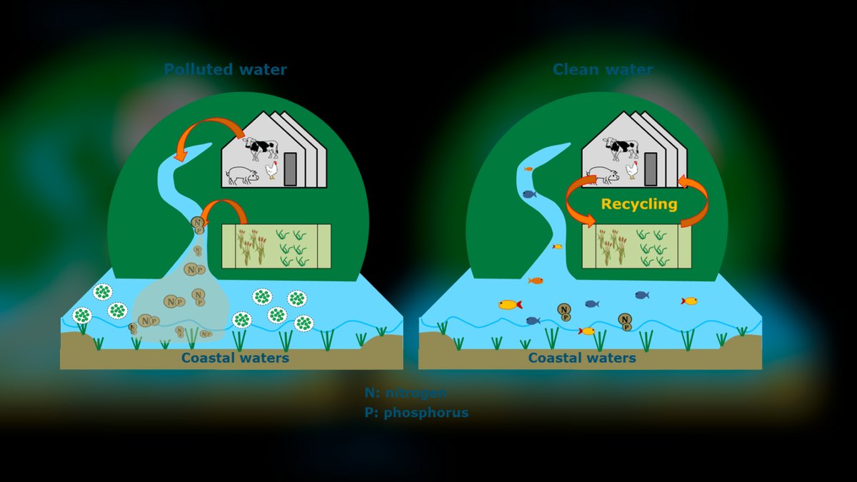 How do I manage nutrient export in a reef tank in 2027?