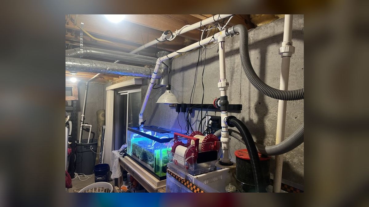 Top 10 Reef Tank Water Change Schedules in 2027 — figure 2