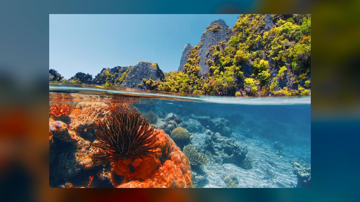 Top 10 Reef Tank Water Change Schedules in 2027 — figure 3