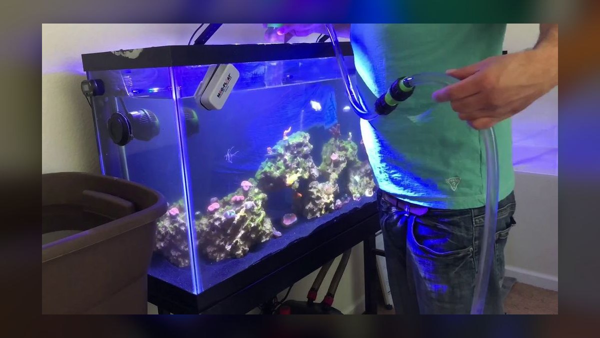 Top 10 Reef Tank Water Change Schedules in 2027 — figure 5