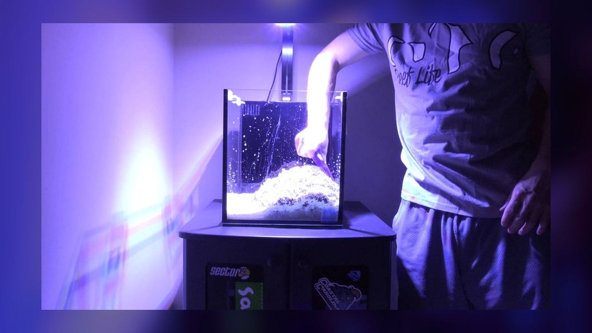 Top 10 Nano Reef Tanks 2027 — Best Overall + Best Value — figure 1