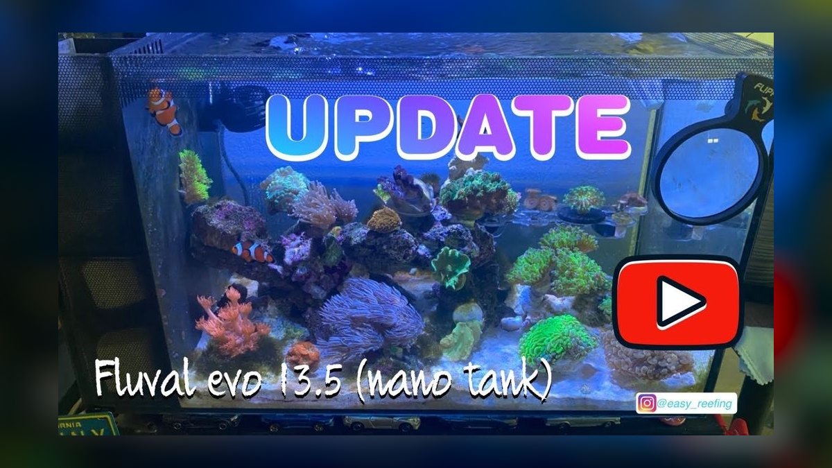 Top 10 Nano Reef Tanks 2027 — Best Overall + Best Value — figure 3