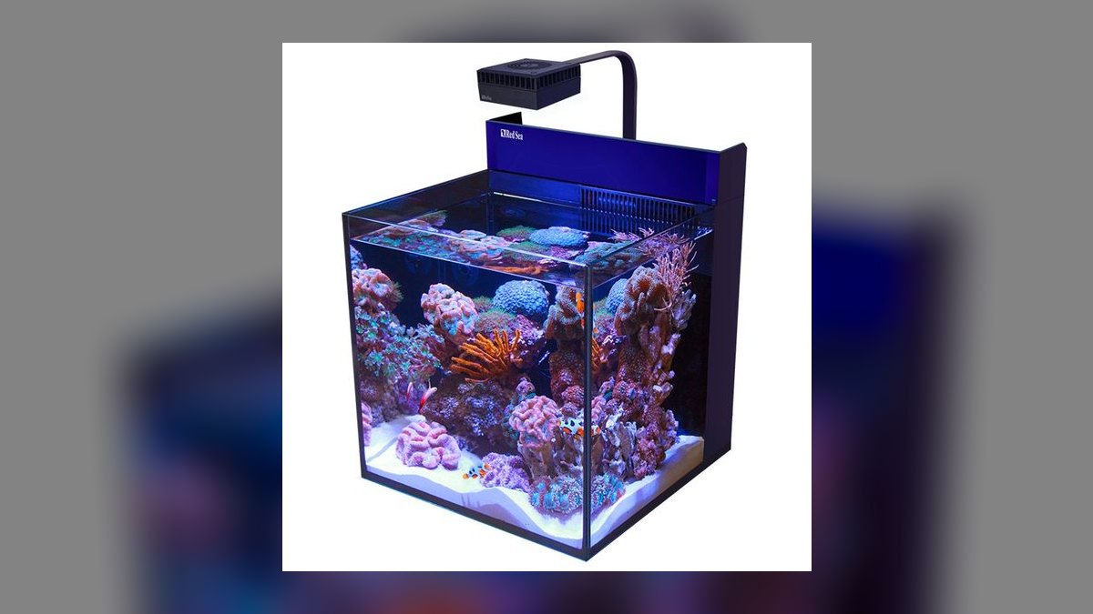 Top 10 Nano Reef Tanks 2027 — Best Overall + Best Value — figure 8