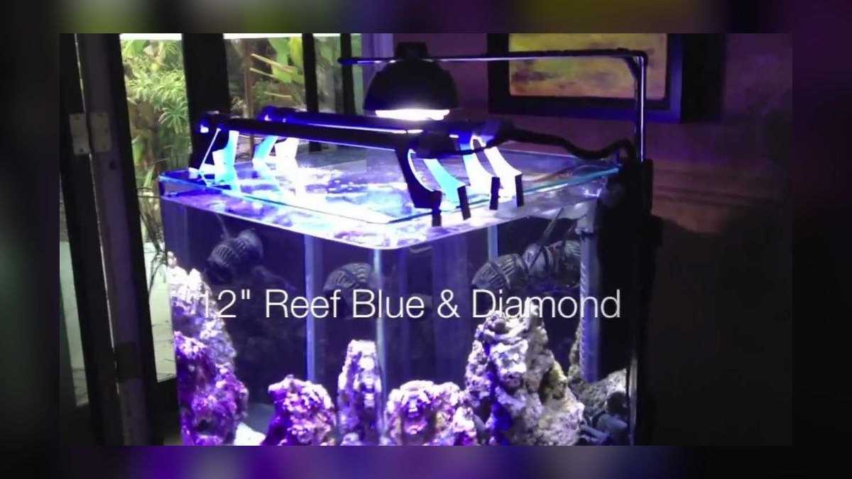 Top 10 Nano Reef Tanks 2027 — Best Overall + Best Value — figure 9